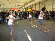 dsc00250