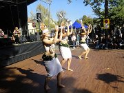 robersau_2018_0016