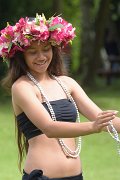 dsc_0237_343