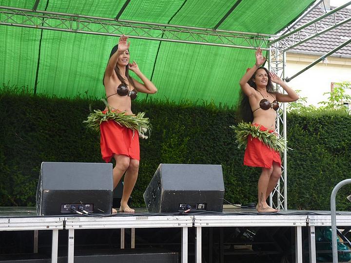 p1020447.jpg