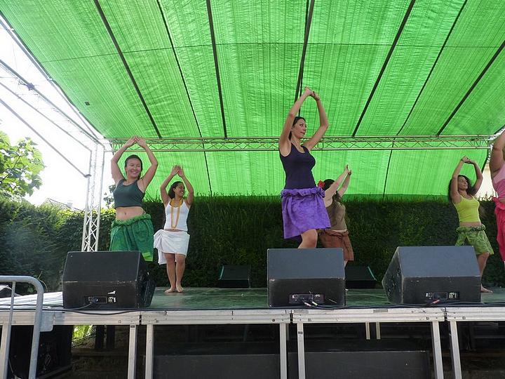 p1020482.jpg
