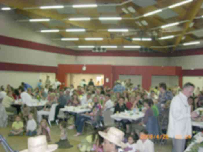 ratere260408_001.jpg