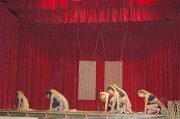 tahiti2010124