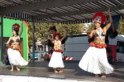 forum_2009_013
