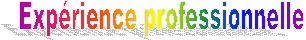 Expérience professionnelle